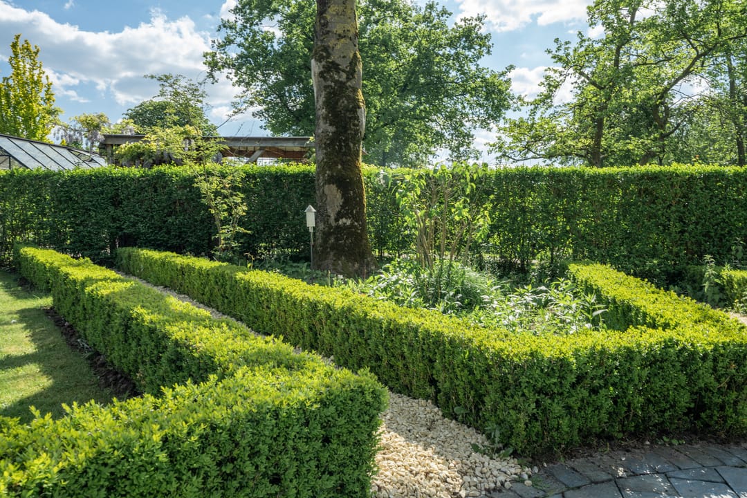 Foto 73 van Hoofdweg 68