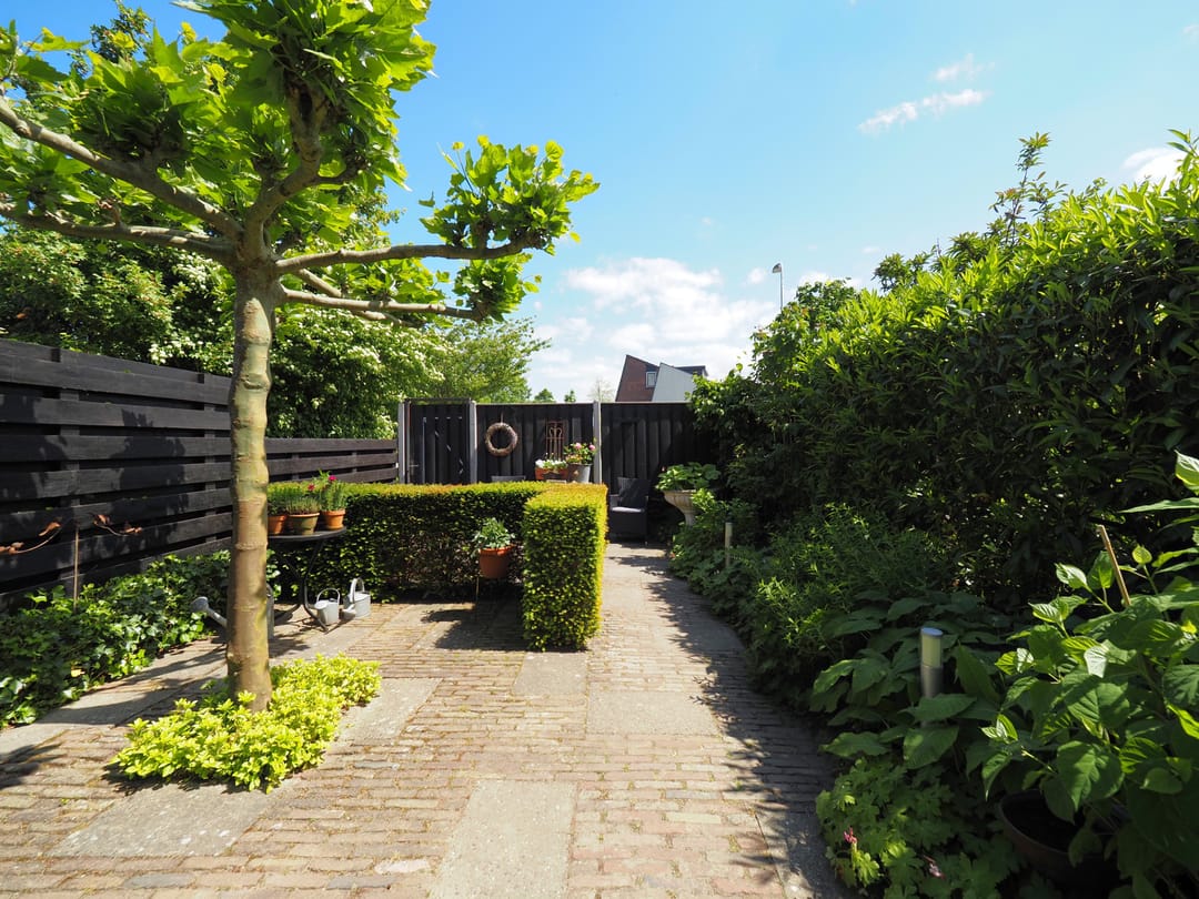 Foto 52 van Walmolen 55