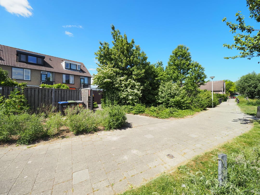 Foto 56 van Walmolen 55