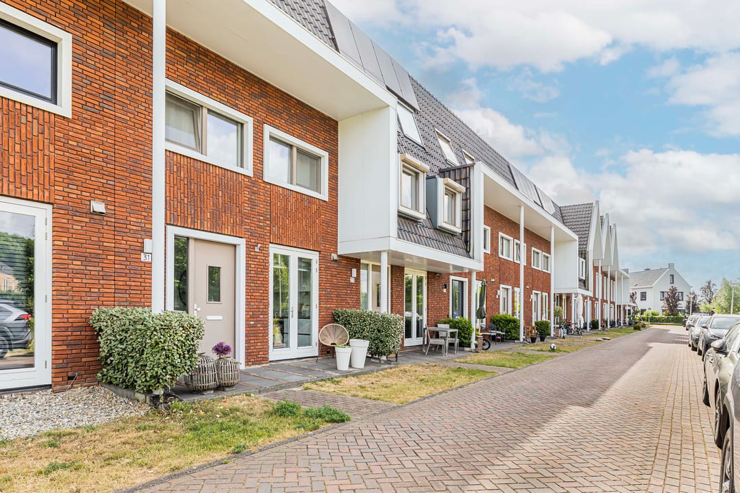 Photo 28 of Bundelzwam 33