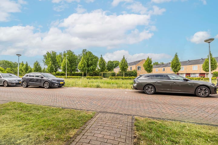 Foto 31 van Bundelzwam 33