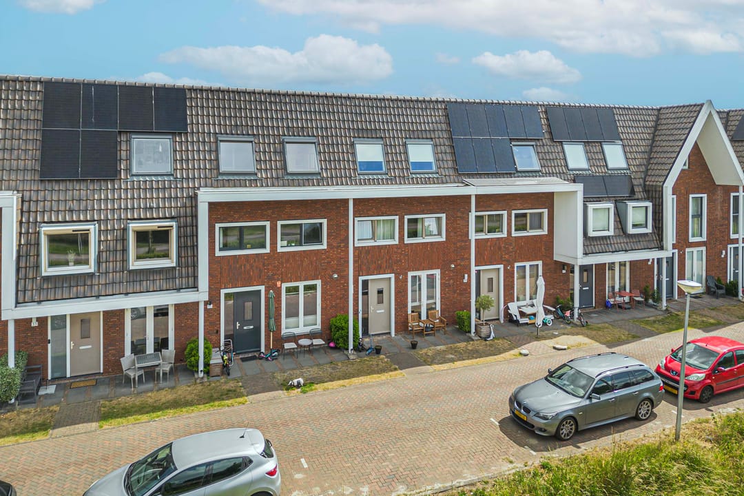 Photo 32 of Bundelzwam 33