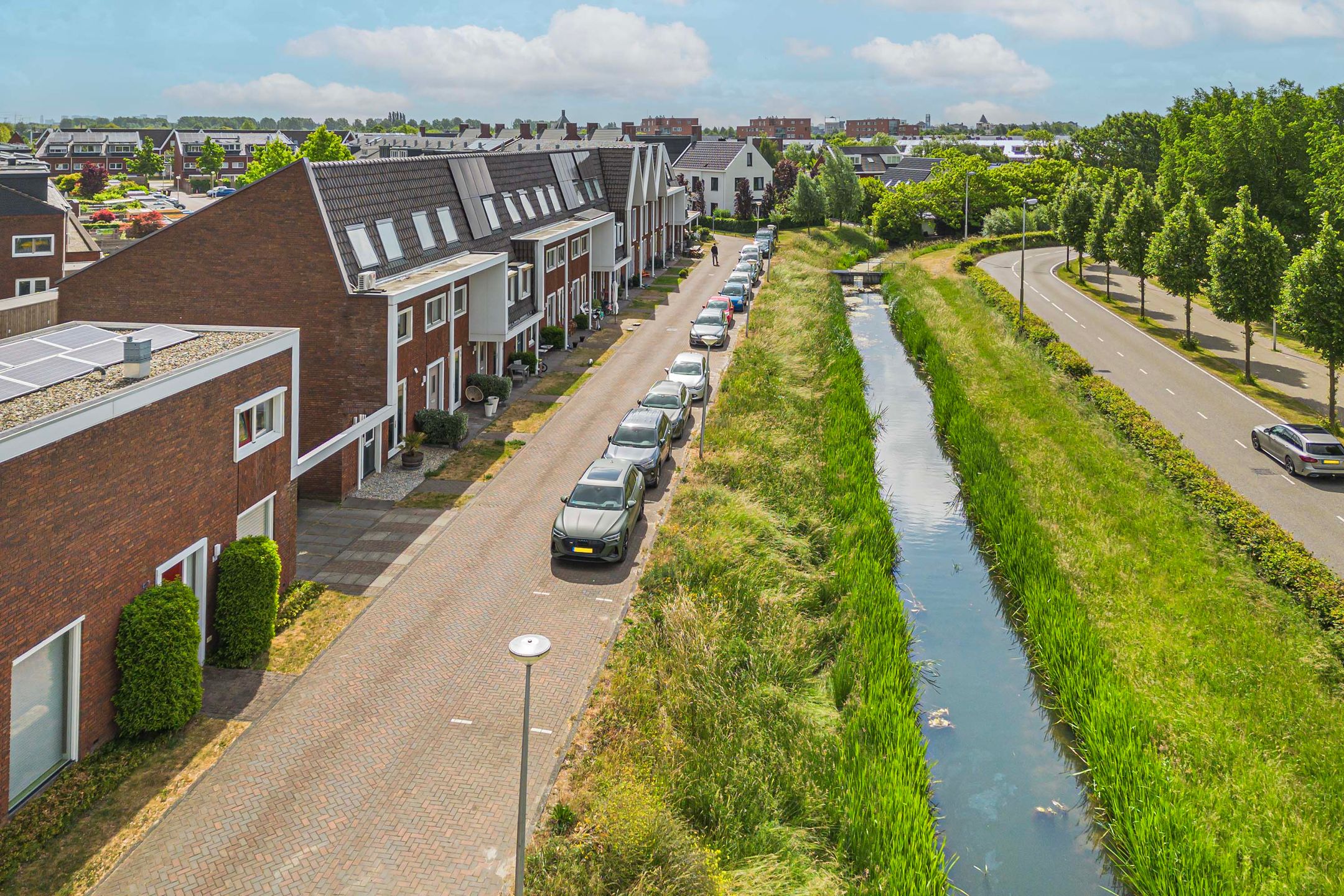 Photo 33 of Bundelzwam 33