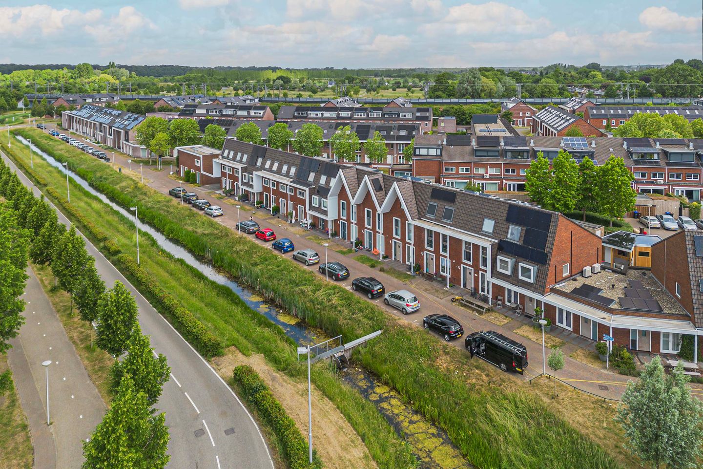 Photo 34 of Bundelzwam 33