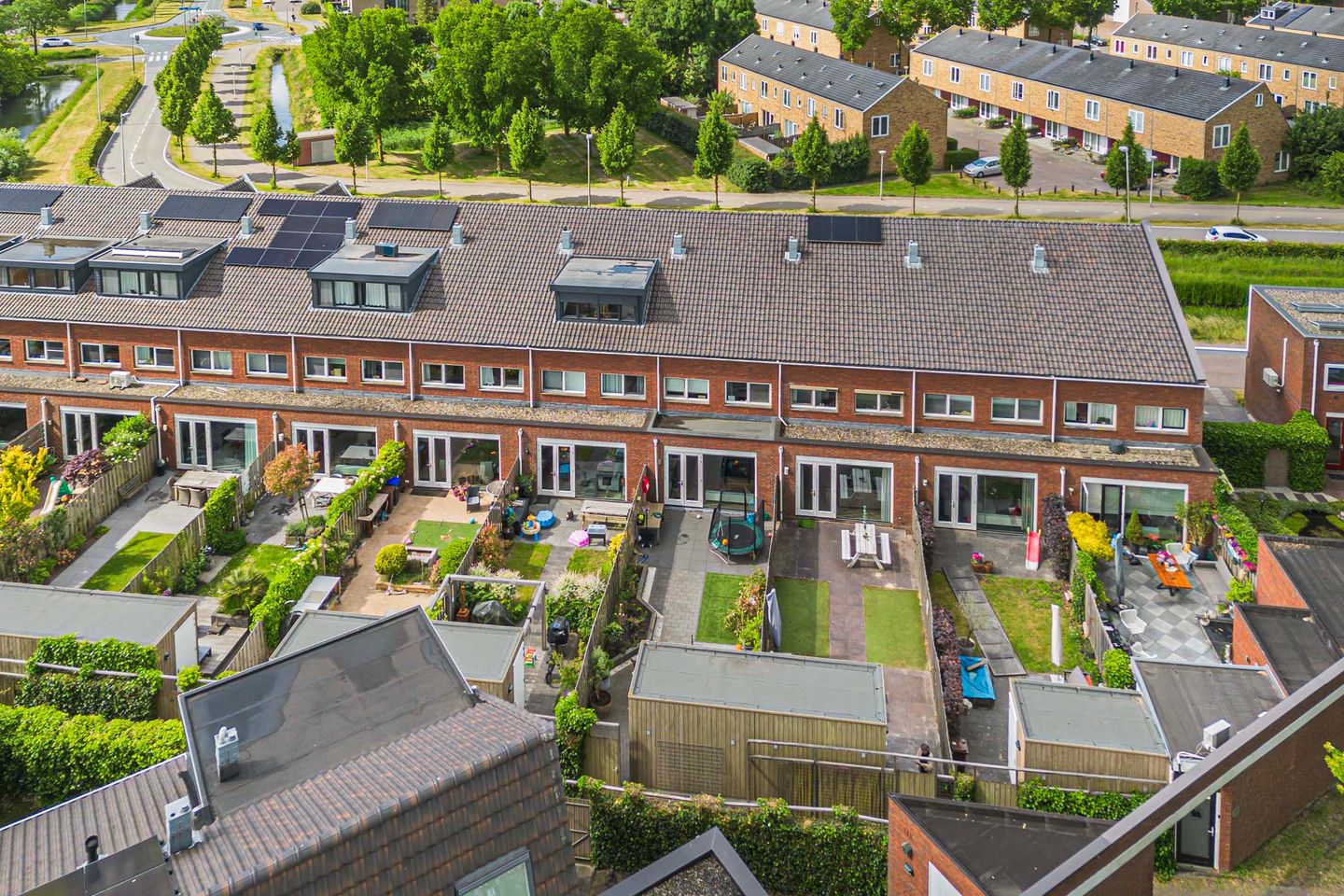 Photo 35 of Bundelzwam 33