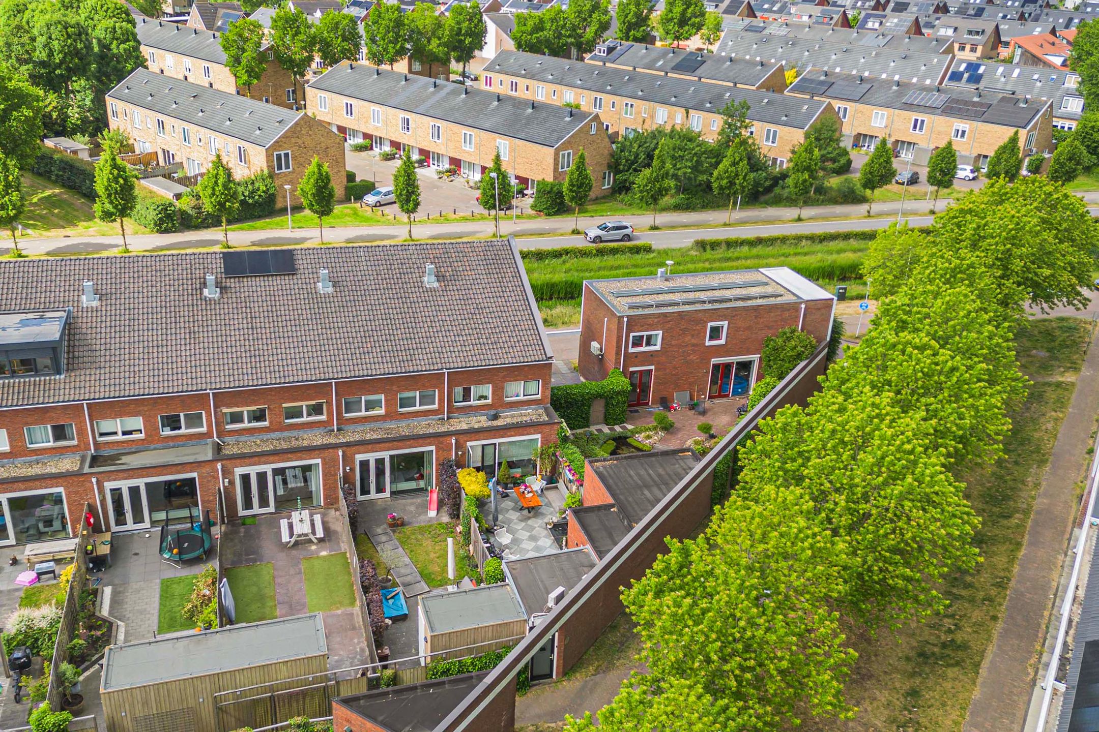 Photo 36 of Bundelzwam 33