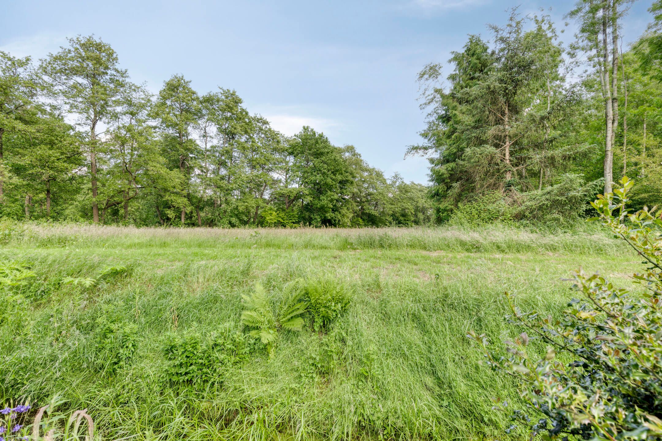 Foto 60 van Groningerweg 65