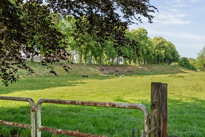 Foto 50 van Oranjelaan 38