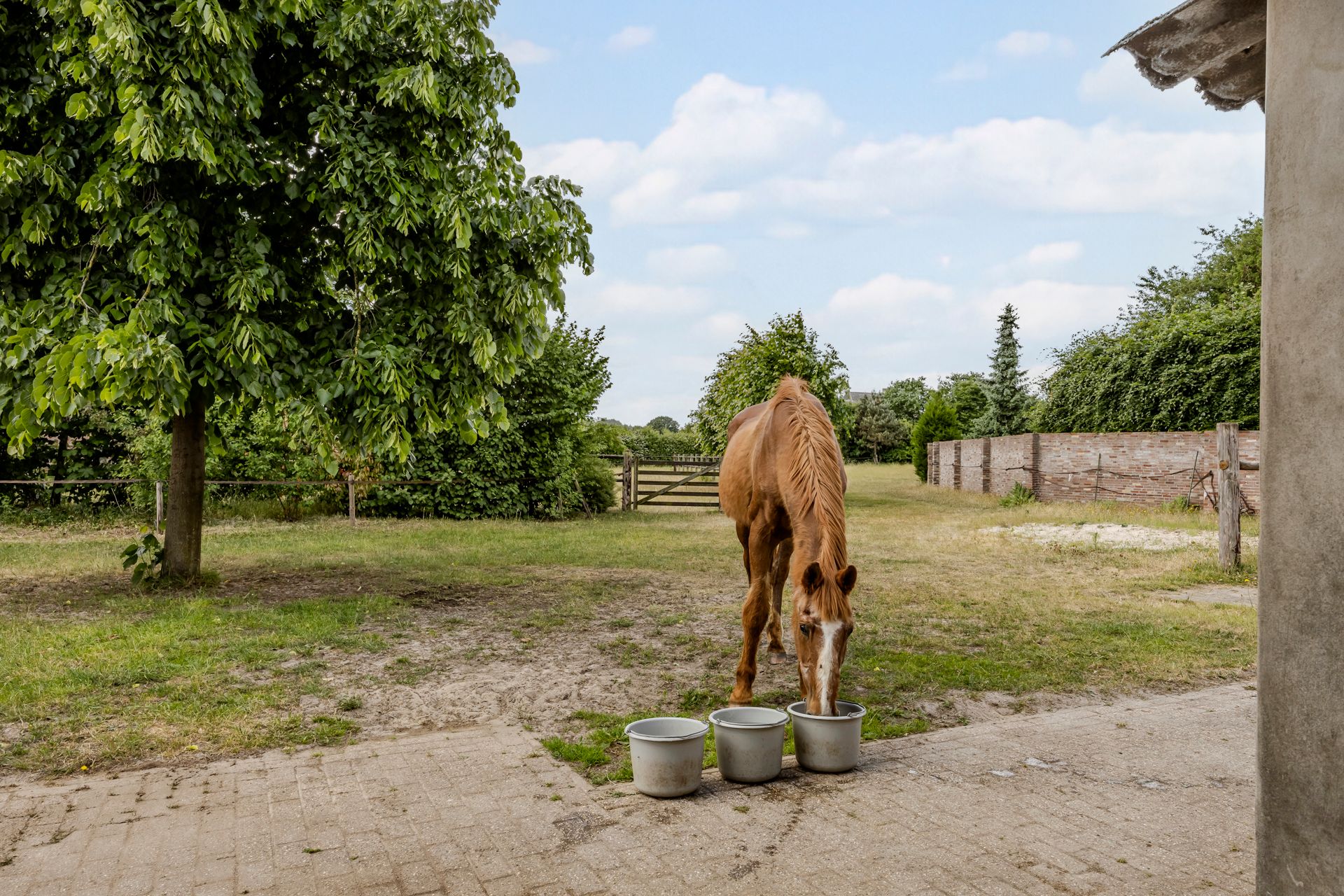 Photo 45 of Kievitweg 2