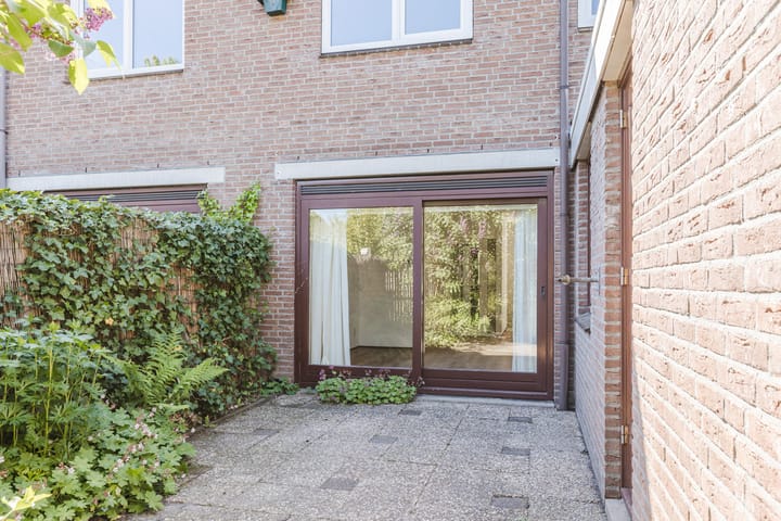 Photo 36 of Vlaskamp 4