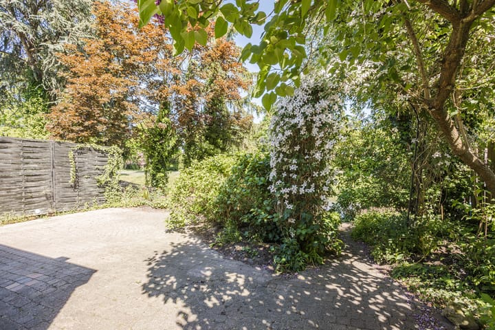 Photo 38 of Vlaskamp 4