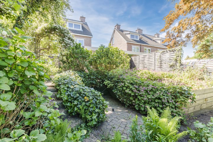 Photo 40 of Vlaskamp 4