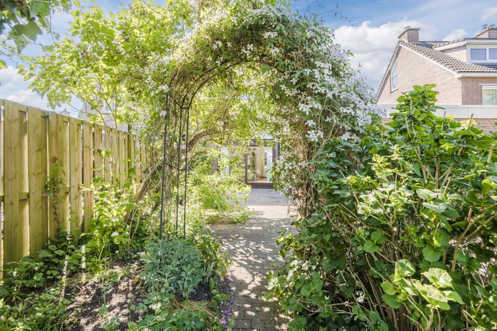 Photo 41 of Vlaskamp 4