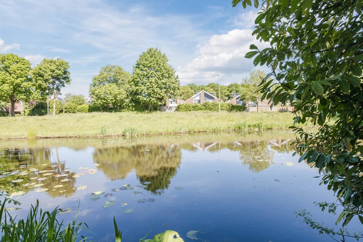 Photo 44 of Vlaskamp 4