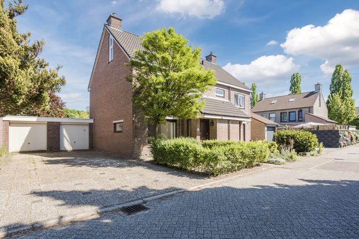 Photo 47 of Vlaskamp 4