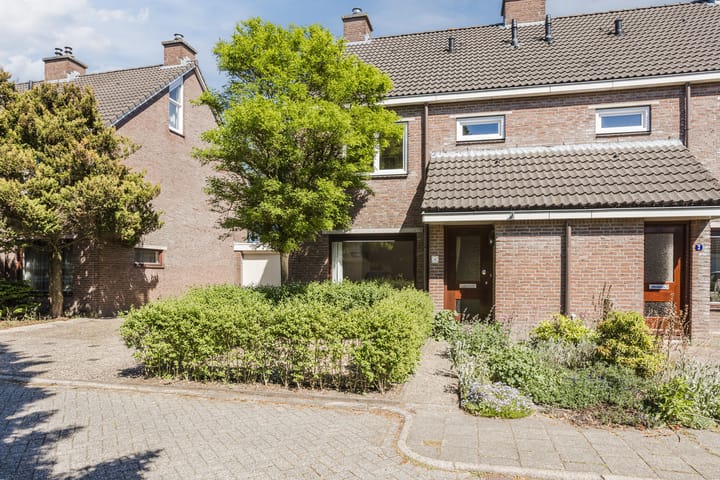 Photo 48 of Vlaskamp 4