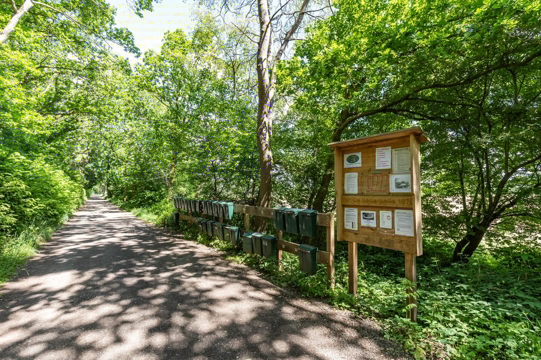 Foto 2 van Boterpol 22