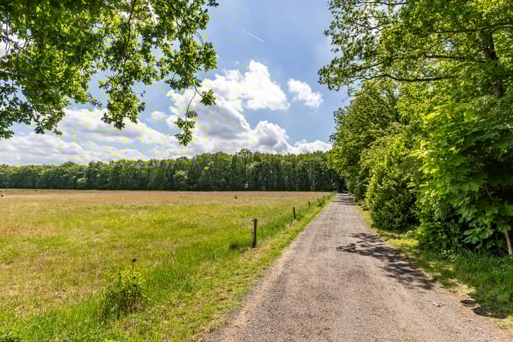 Photo 3 of Boterpol 22