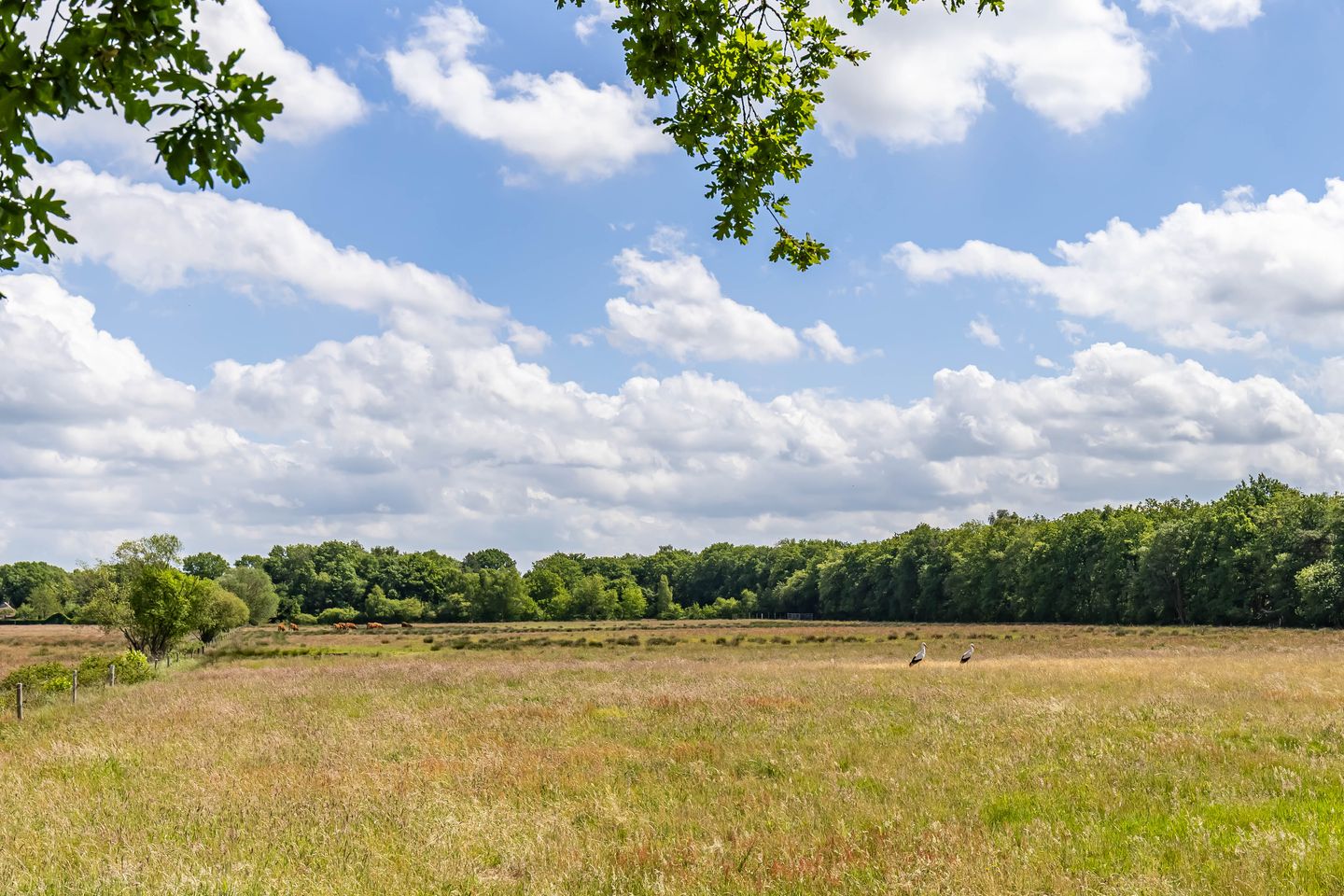 Foto 4 van Boterpol 22