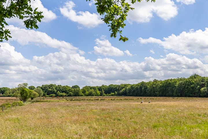 Photo 4 of Boterpol 22