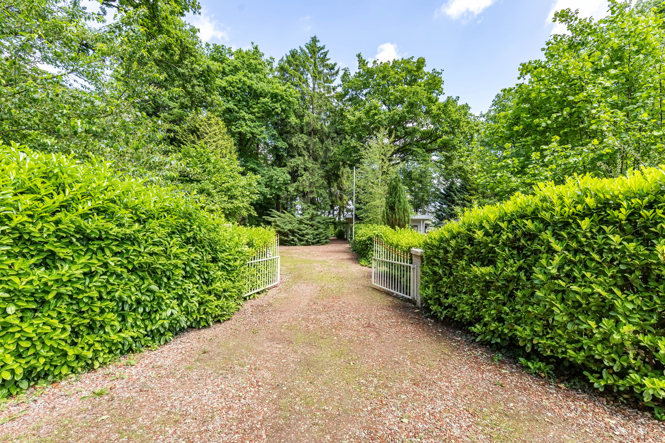 Foto 6 van Boterpol 22