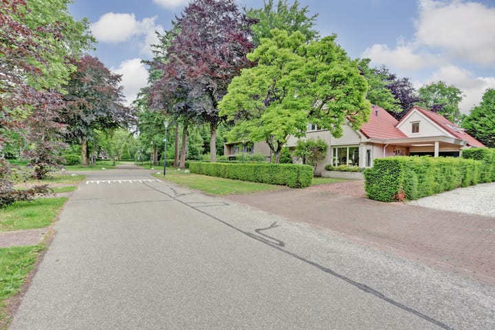 Foto 6 van Veldekster 42