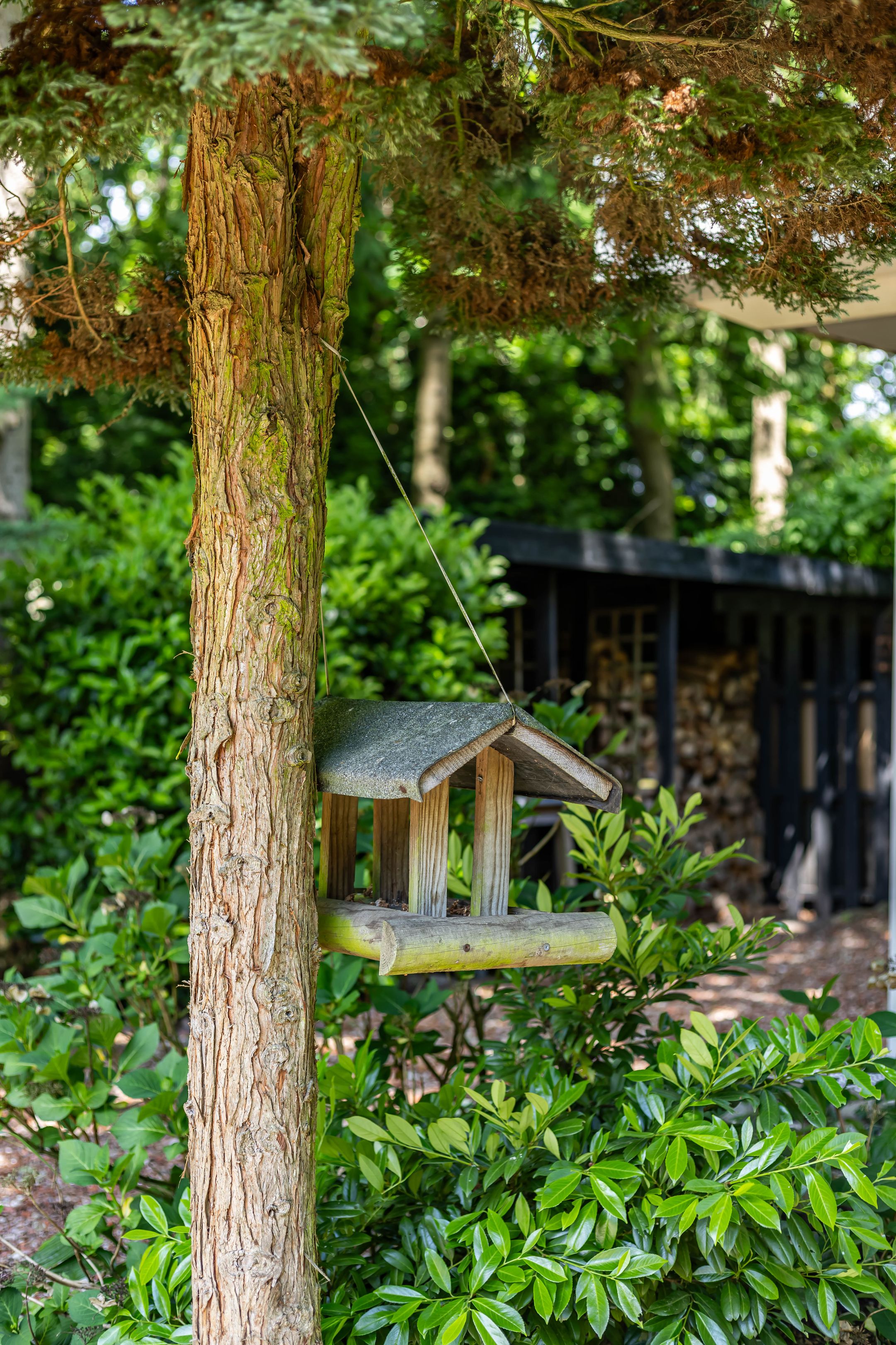 Foto 36 van Boterpol 22