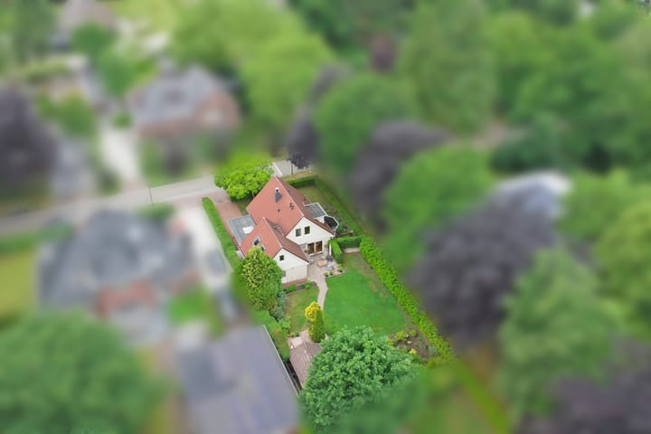 Foto 38 van Veldekster 42