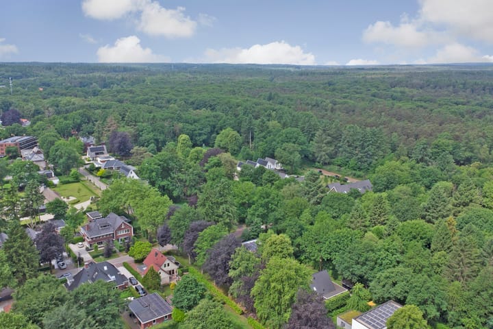 Foto 41 van Veldekster 42