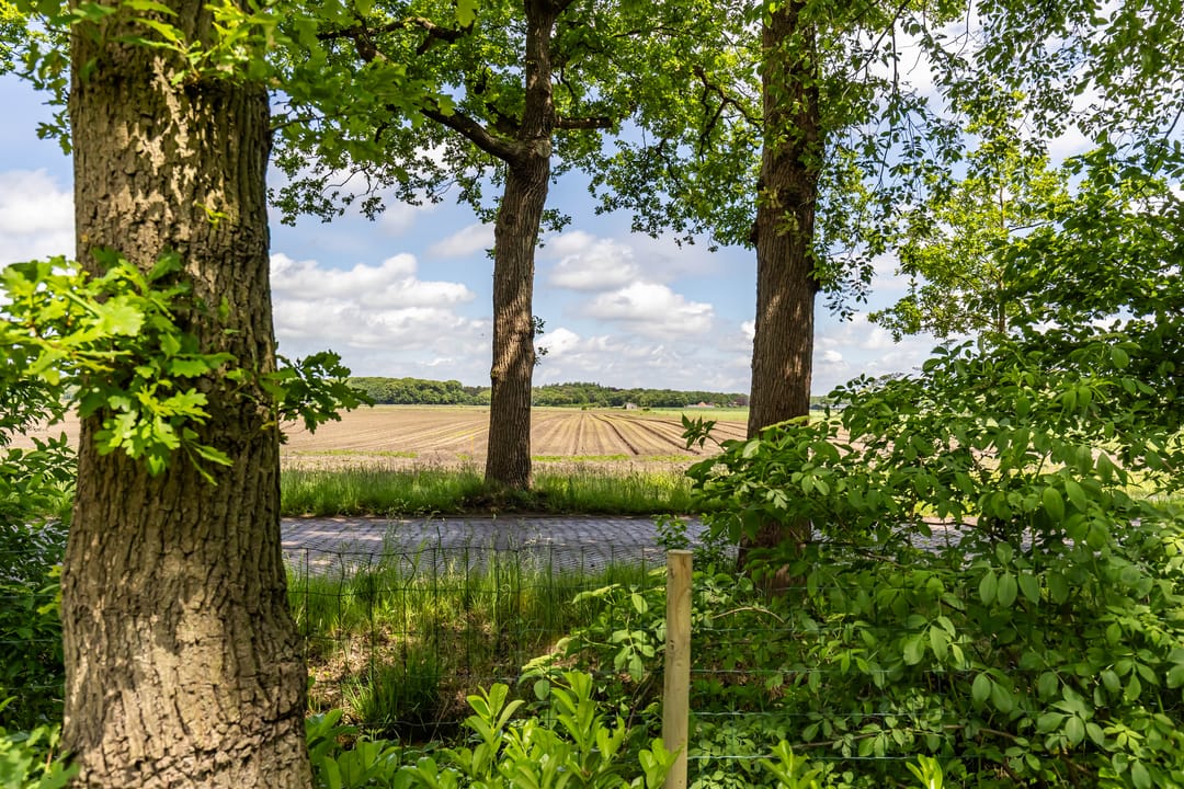 Foto 47 van Boterpol 22