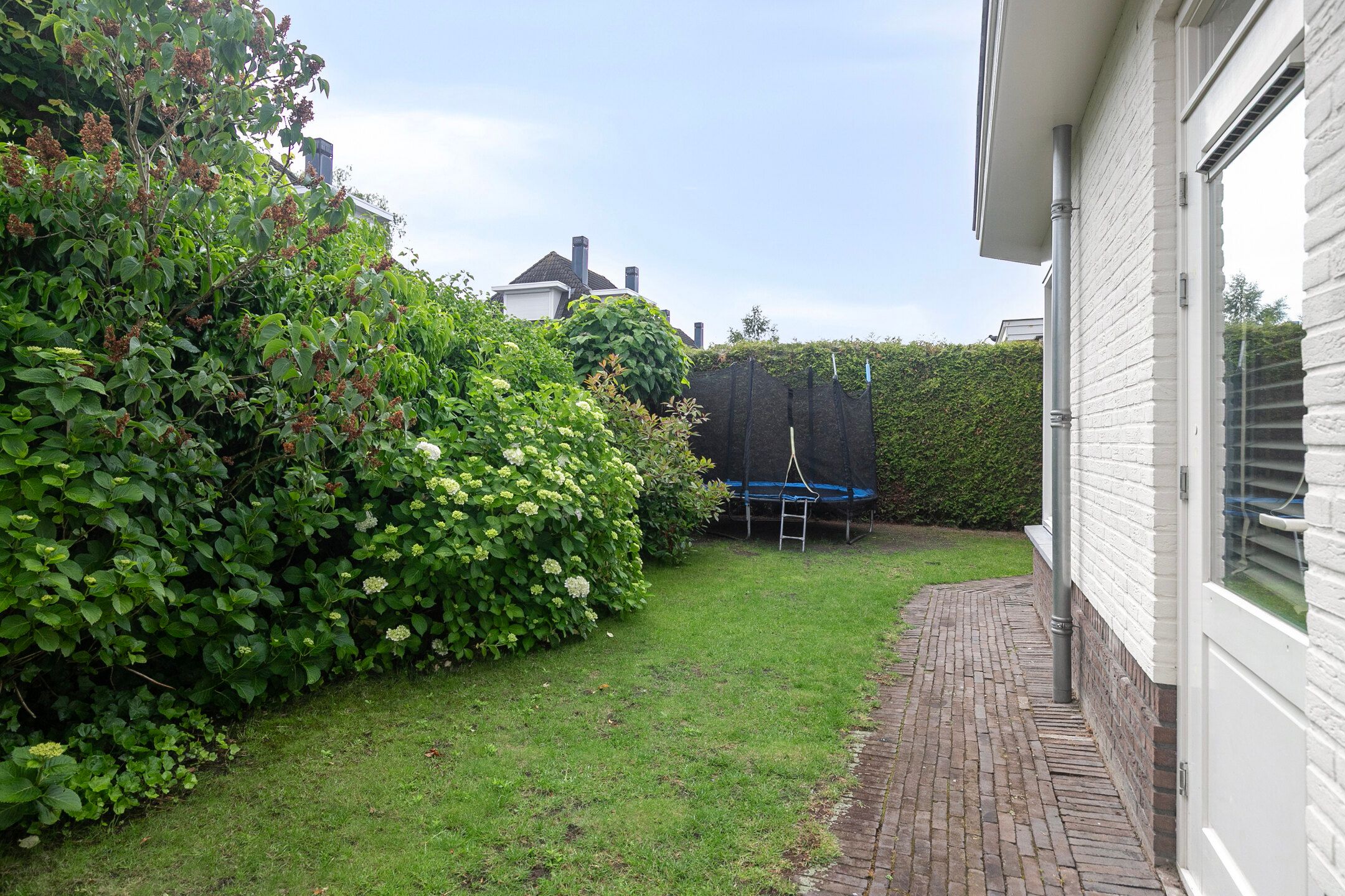 Foto 42 van Pinksterbloembeek 7