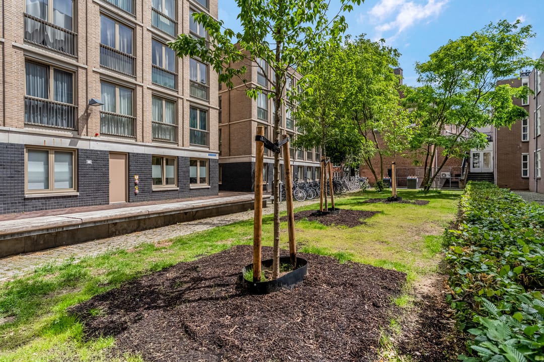 Foto 32 van Achter de Carmel 32