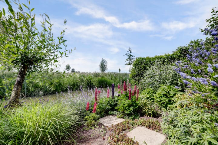 Foto 39 van Melkbocht 25