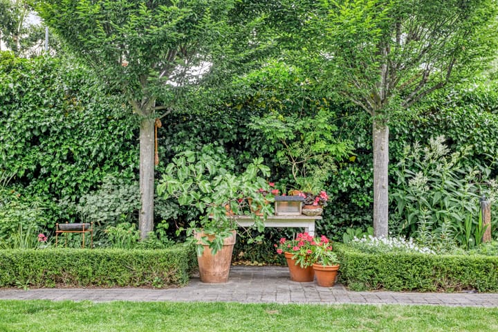 Foto 53 van Koedijk 32