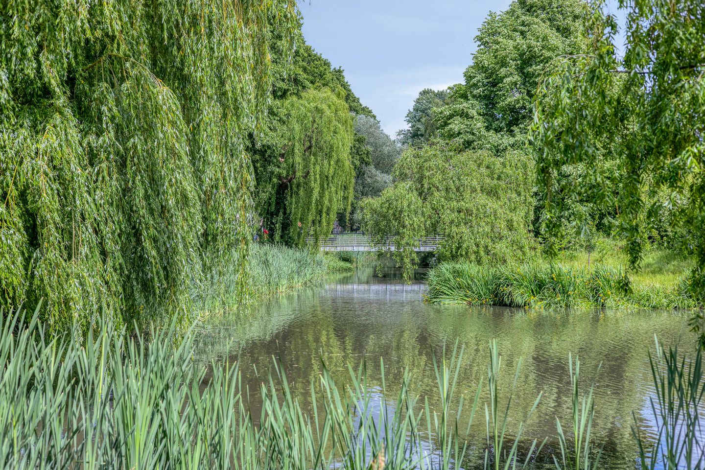 Photo 25 of Zangvogelweg 72