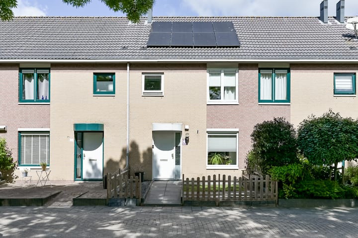 Foto 4 van Zambiapark 24