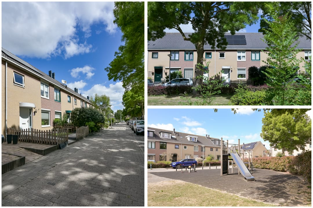 Foto 7 van Zambiapark 24