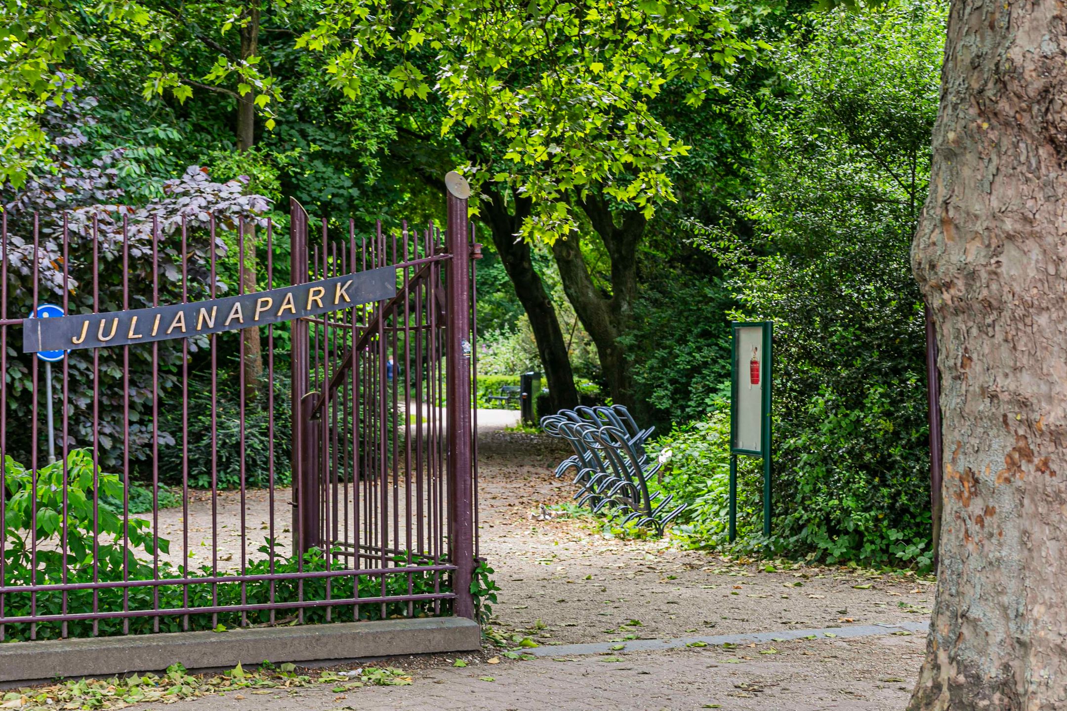 Foto 18 van Cornelis Dirkszstraat 13