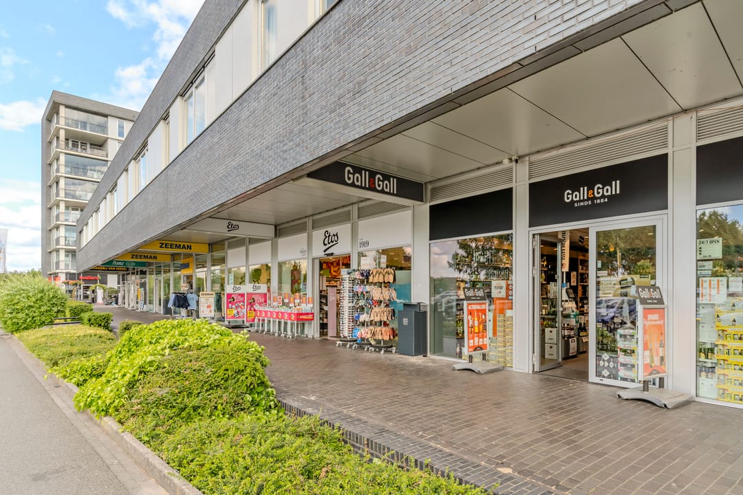 Foto 37 van Schipluidenlaan 24