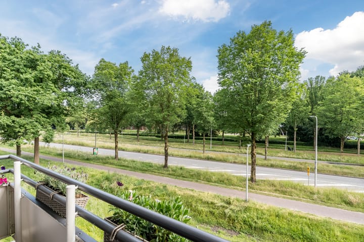 Foto 6 van Predikherenlaan 61