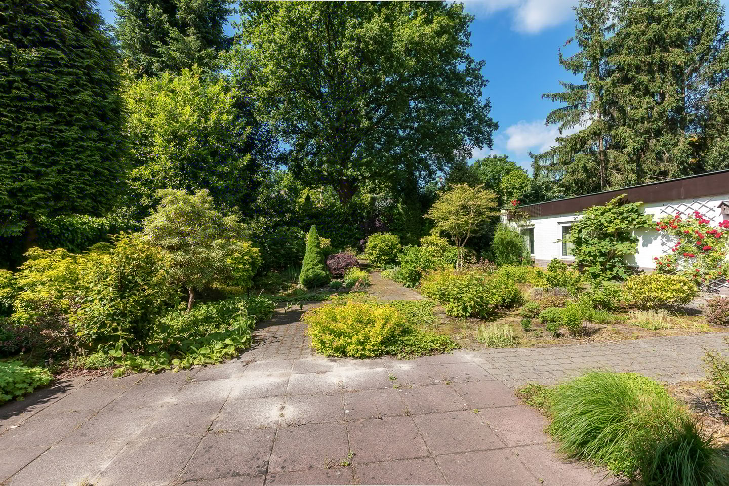 Foto 44 van Renier Sniederslaan 5