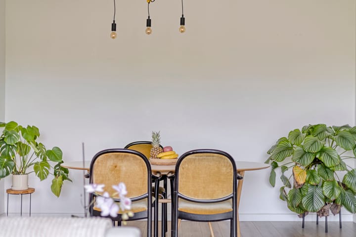 Foto 6 van Willem van Boelrestraat 13