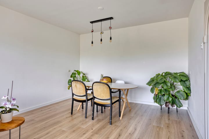 Foto 7 van Willem van Boelrestraat 13