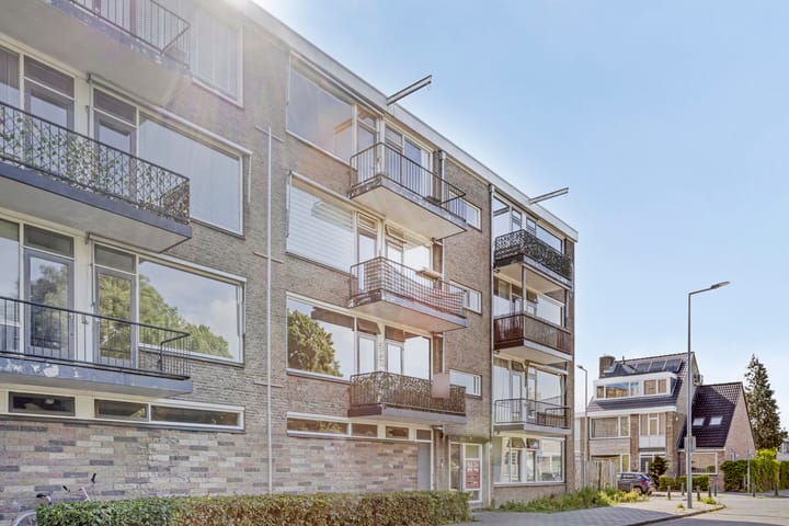 Foto 21 van Willem van Boelrestraat 13