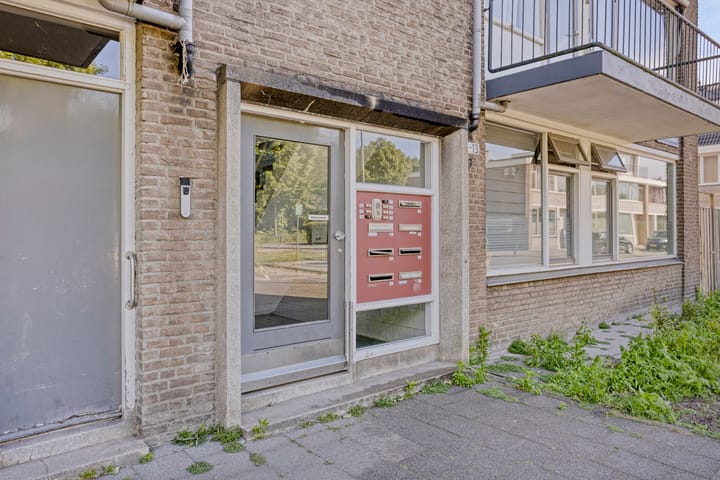 Foto 22 van Willem van Boelrestraat 13