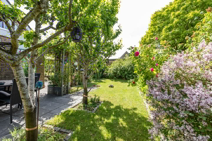 Foto 2 van de Rippert 34