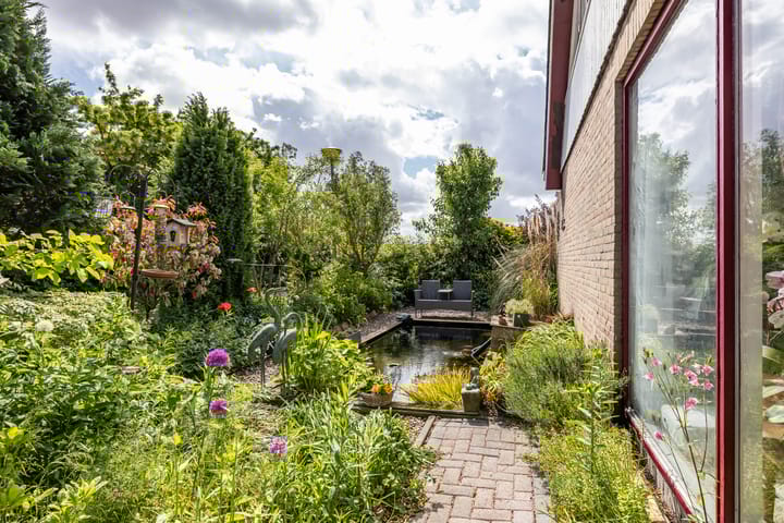 Foto 13 van de Rippert 34