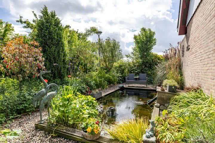 Foto 14 van de Rippert 34