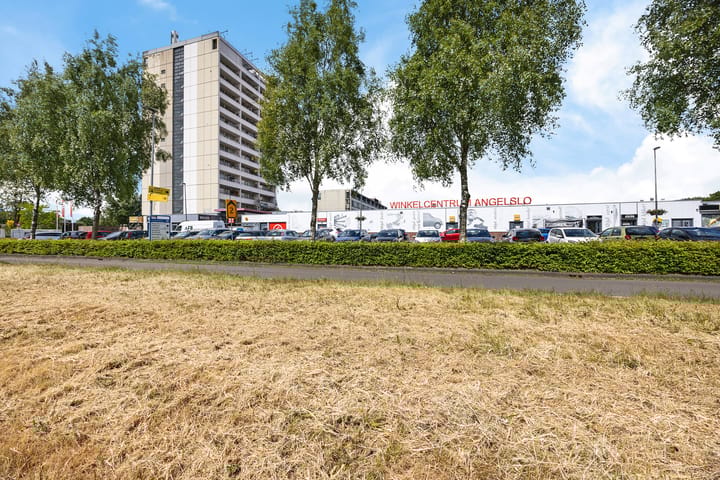 Foto 2 van Landschaplaan 8