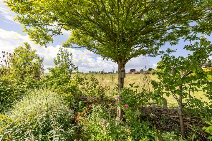 Foto 67 van de Rippert 34